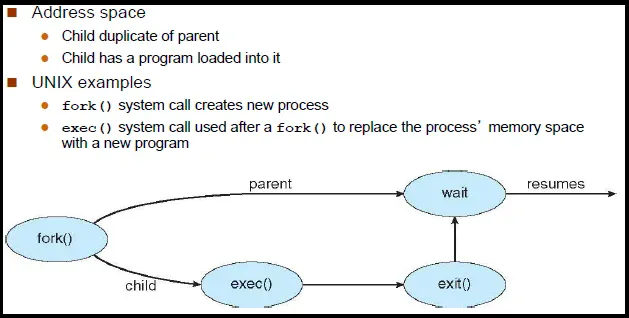 fork() and exec() flow diagram
